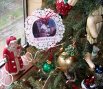 Pictures of family make a hit on Xmas Tree